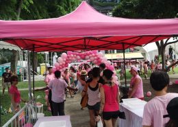 Pink Dot 2017 07010158