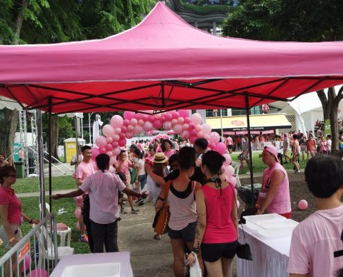Pink Dot 2017 07010158