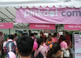 Pink Dot 2017 07010168