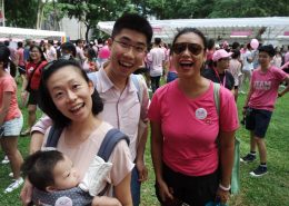 Pink Dot 2017 07010176