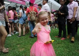Pink Dot 2017 07010184