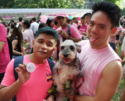 Pink Dot 2017 07010216