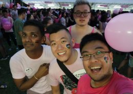 Pink Dot 2017 07010249